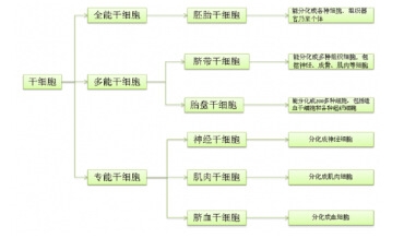 �ɼ�(x��)�����